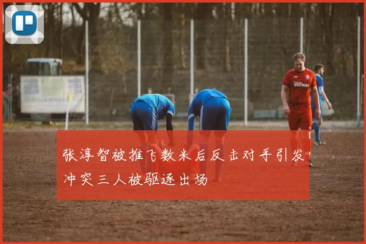 张淳智被推飞数米后反击对手引发冲突三人被驱逐出场