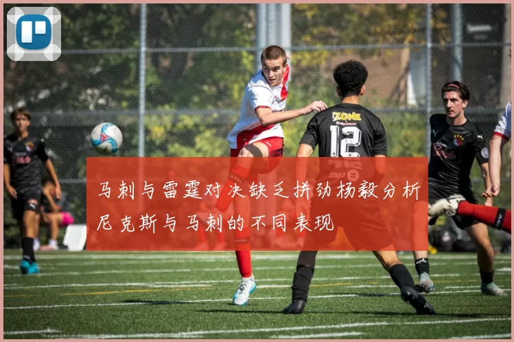 马刺与雷霆对决缺乏拼劲杨毅分析尼克斯与马刺的不同表现