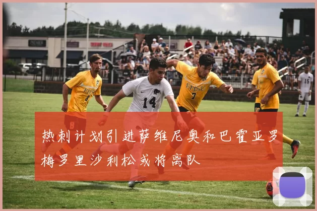 热刺计划引进萨维尼奥和巴霍亚罗梅罗里沙利松或将离队