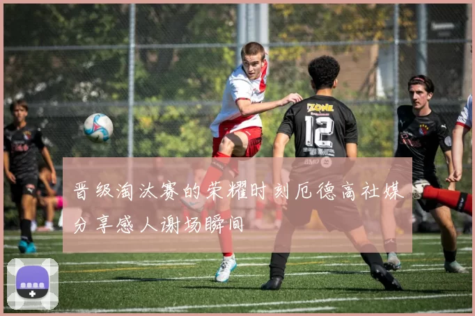 晋级淘汰赛的荣耀时刻厄德高社媒分享感人谢场瞬间
